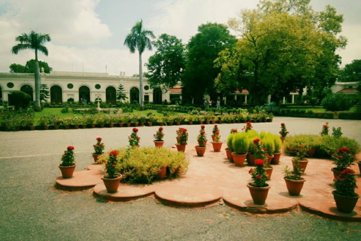 IP College Delhi