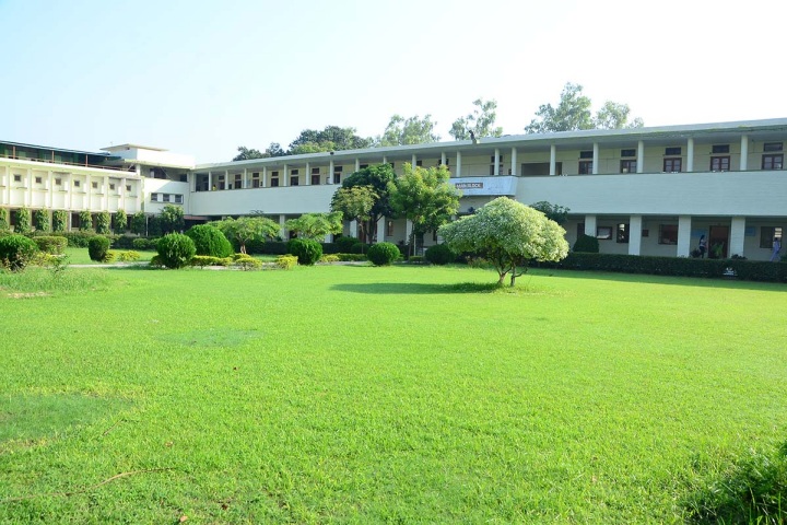 HMV College Jalandhar