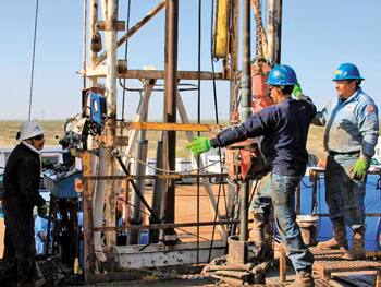 Petrocrats, the new energy professionals