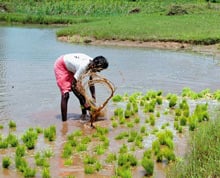 Motivation: Persevere. And you will succeed!