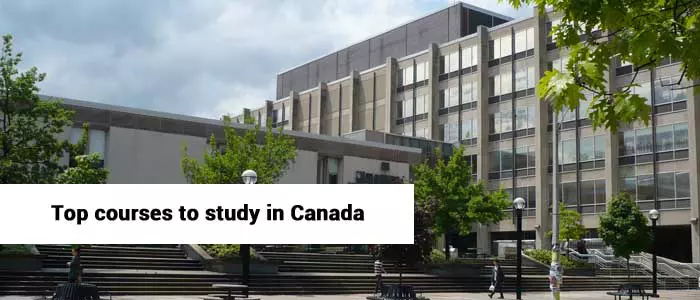 Top Courses to Study in Canada for Indian Students