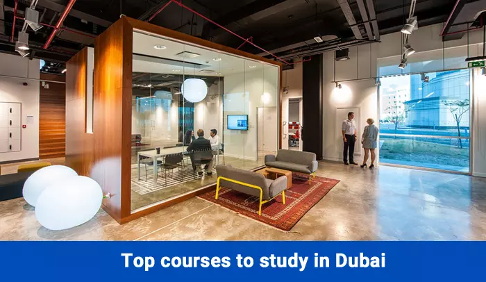 Top Courses to Study in Dubai