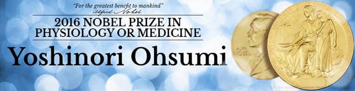 Yoshinori Ohsumi wins Nobel Prize in Medicine 2016