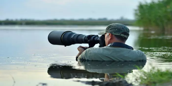 Career as a Wildlife Photographer