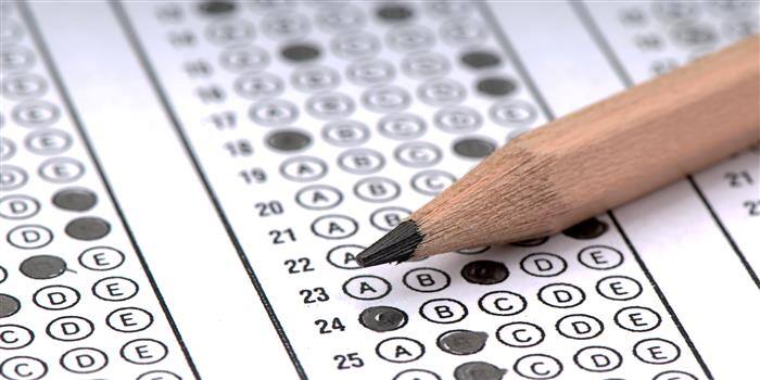 JEE Main Paper 2 Answer Key 2019