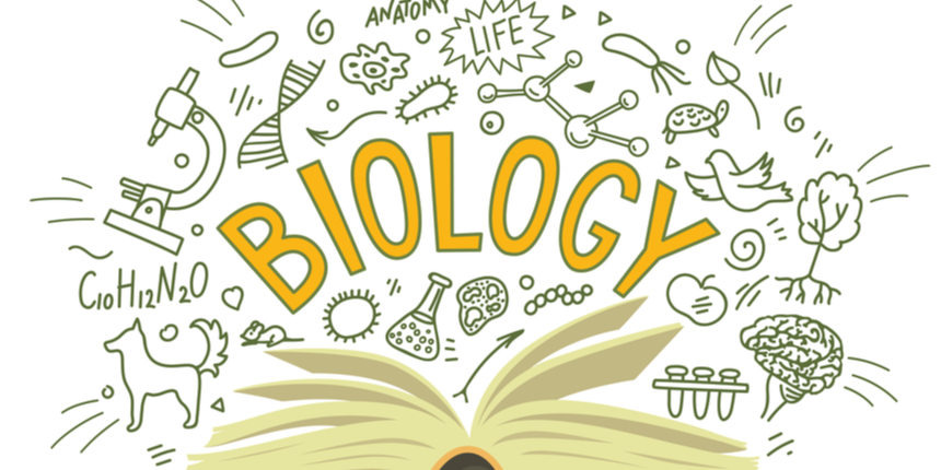 Best Reference Books For Class 12 CBSE Biology 2021- Recommended books
