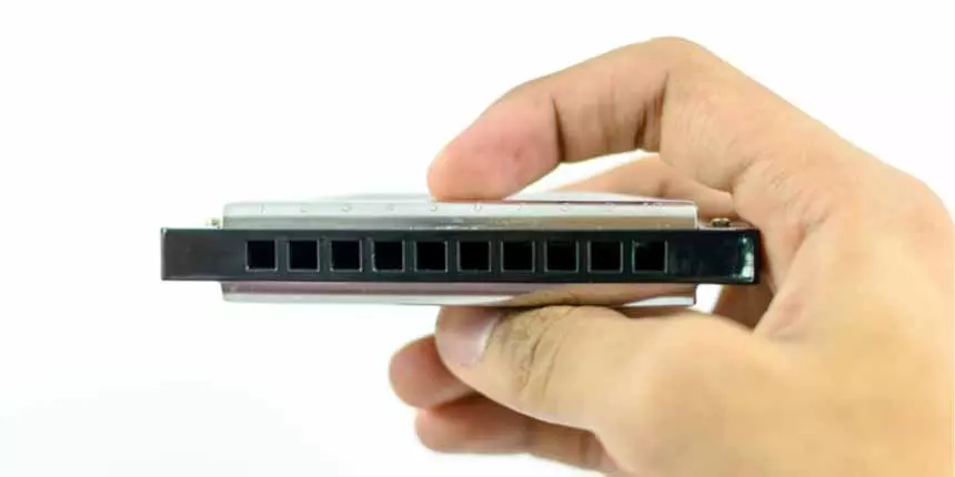 15 Online Courses to Become a Pro at Playing Harmonica