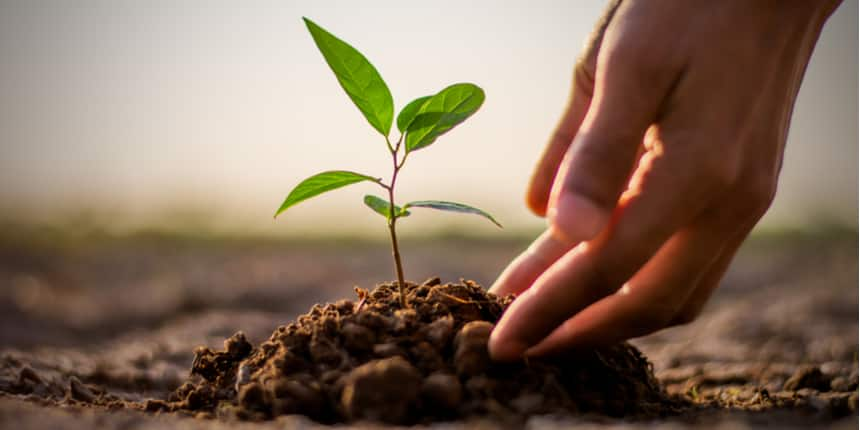 Planting A Tree Is Now Part Of Delhi University’s Curriculum