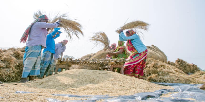 what-is-threshing-winnowing-definition-faqs