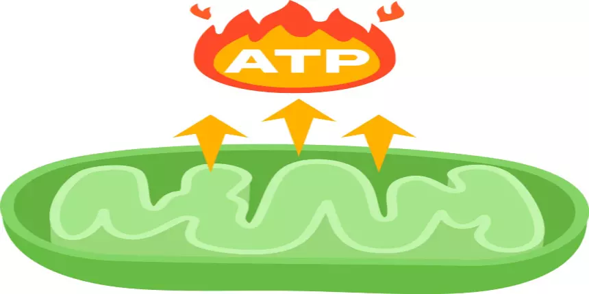 Science Atp Full Form