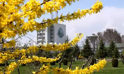 Kashmir University main campus (picture source: Kashmir University website)