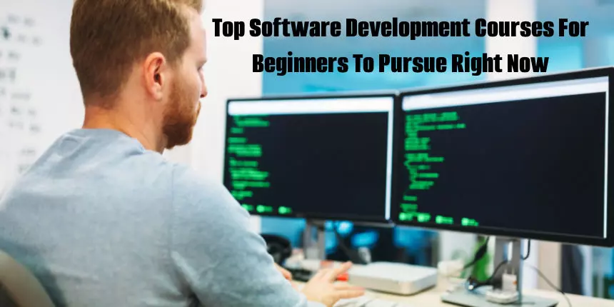Top Software Development Courses For Beginners To Pursue Right Now