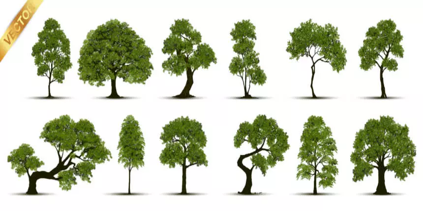 Save Trees Essay