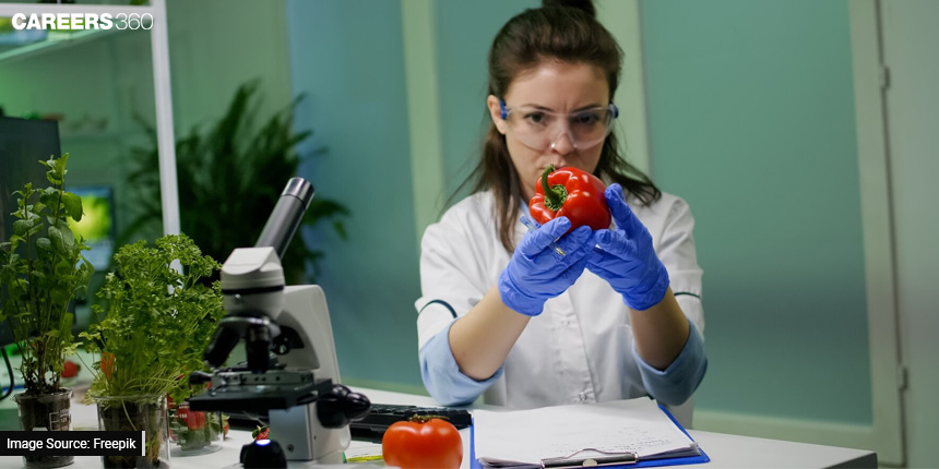 Explore These Diverse Careers In Food Technology