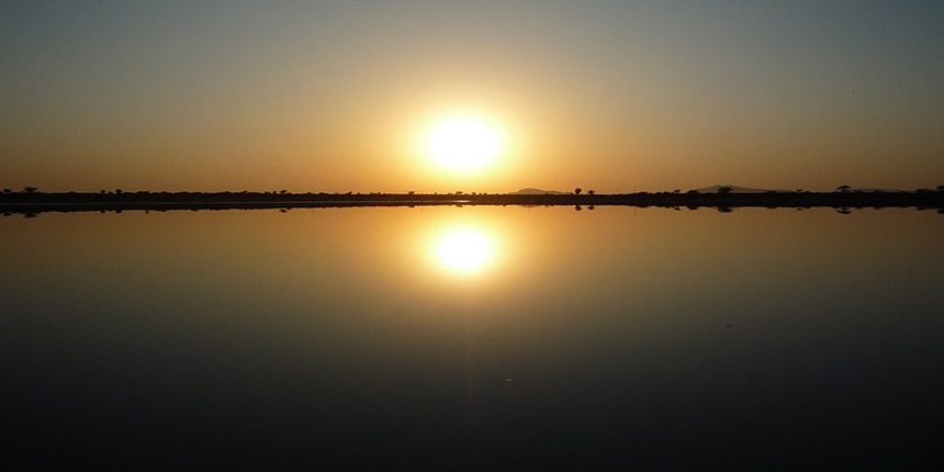 Jyoti Singh conducted the study at Sambhar Lake. (Image: Wikimedia Commons)