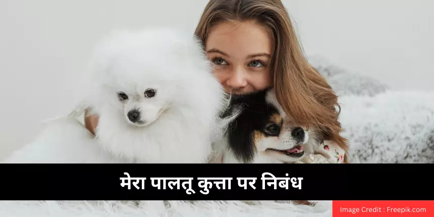 मेरा पालतू कुत्ता निबंध (My Pet Dog Essay in Hindi) - 100, 200, 500 शब्दों में