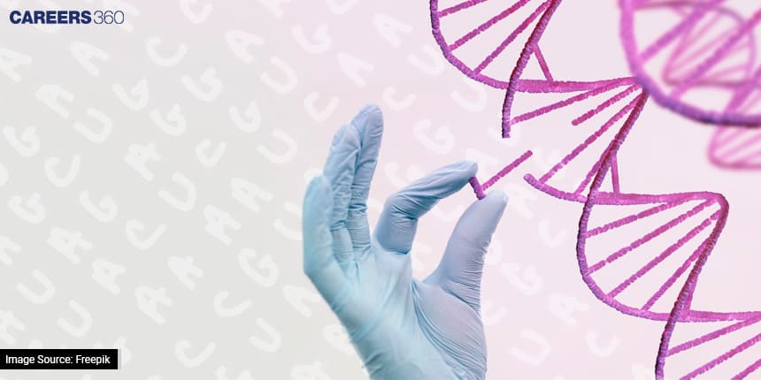 Genetics And Human Health: Decoding The Genetic Code For Medical Insights