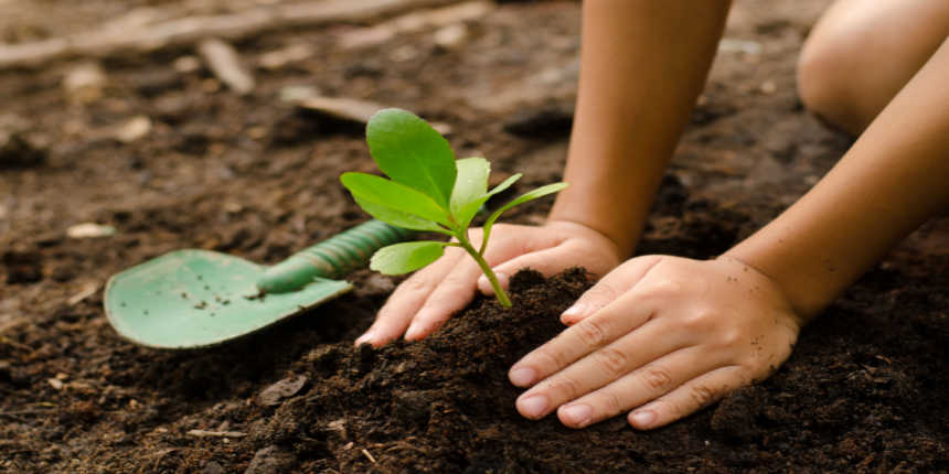 Speech On Tree Plantation - 10 Lines, Short and Long Speech