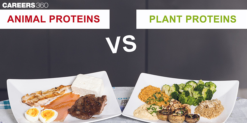Animal Vs Plant-Based Protein - What Is Your Best Source Of Protein?