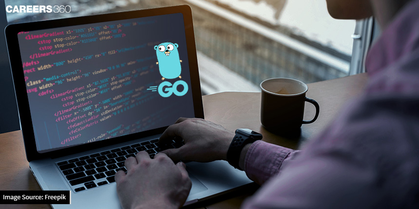Cost Of Learning Golang Programming Language Online