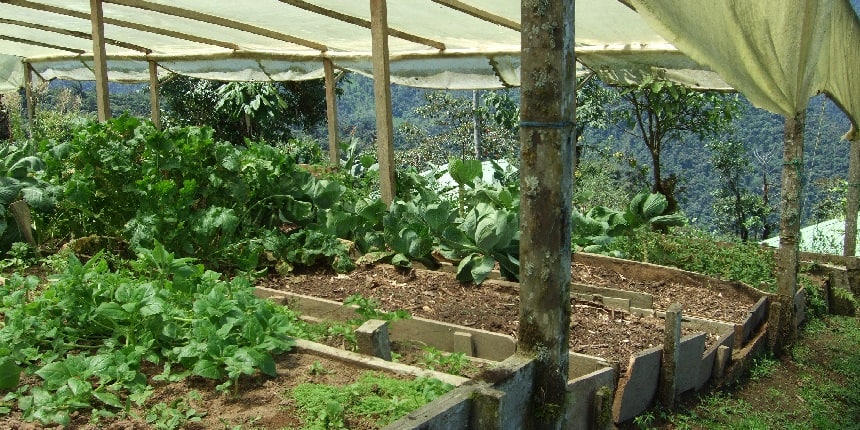 The Sikkim assembly passed the Sikkim Organic Agriculture University Act, 2023 earlier this year. (Image: Wikimedia Commons)