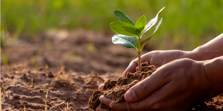 The forest department officers to ensure the availability of the plants at the schools.