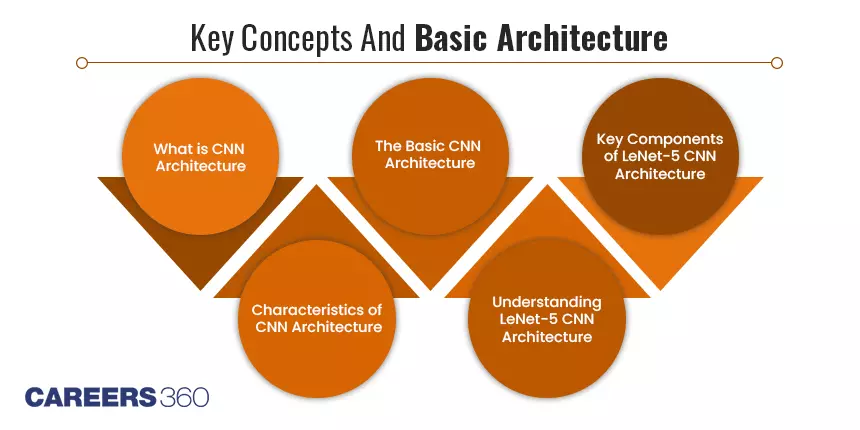 What Is CNN Architecture: Exploring the Key Concepts and Basic Architecture