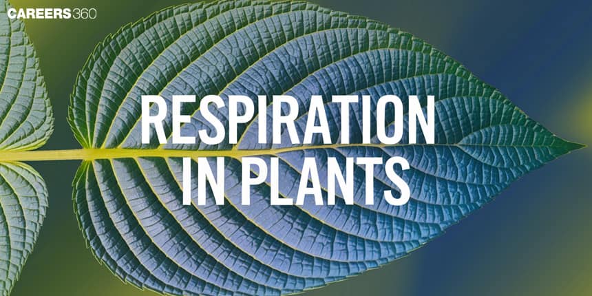 Respiration in Plants