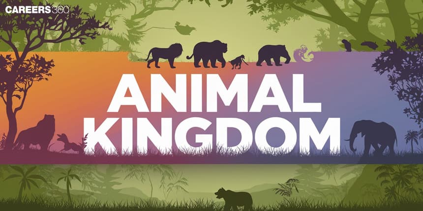 Animal Kingdom: Biology, Classification, Topics, Overview & MCQs