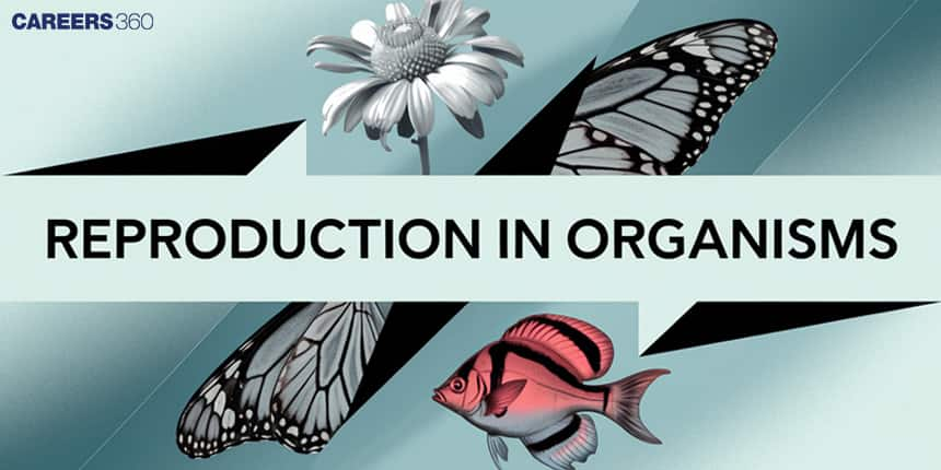 Reproduction In Organisms: Overview, Topics, MCQs, Tips, Books