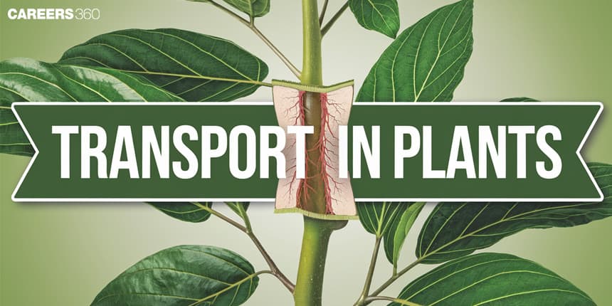 Transport in Plants: Overview, Topics, Mechanism, Books, Tips