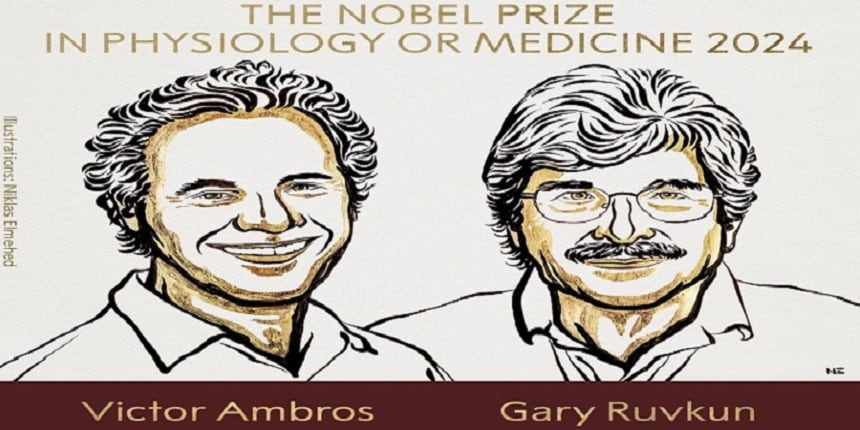 Nobel Prize 2024 focuses on the discovery of a vital regulatory mechanism used in cells to control gene activity. (Image: X/ @NobelPrize)