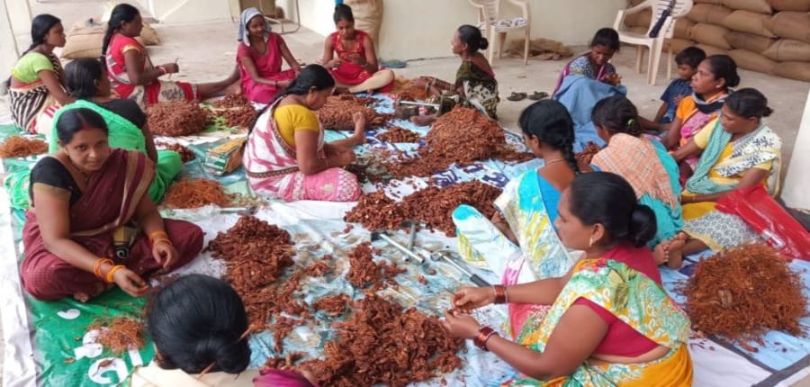 IIM Ranchi’s Birsa Munda Centre for Tribal Affairs (BMCTA) training tribal women. (Image: IIM Ranchi)