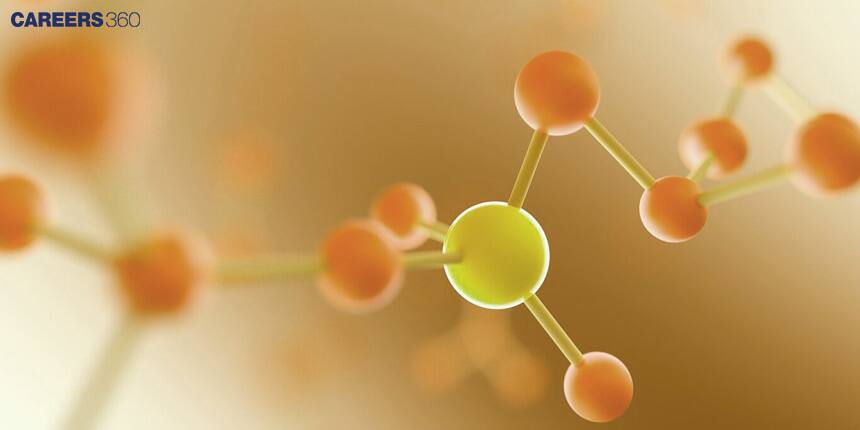 Mechanism Of Hormone Action: Overview, Functions