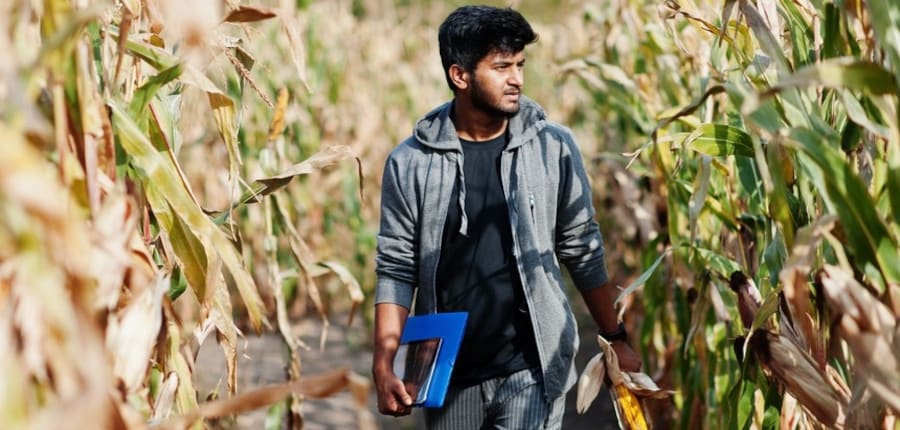 MBA agriculture business management curriculum ranges from agriculture economics and policies to its management and supply chains. (Representative Image: Freepik)
