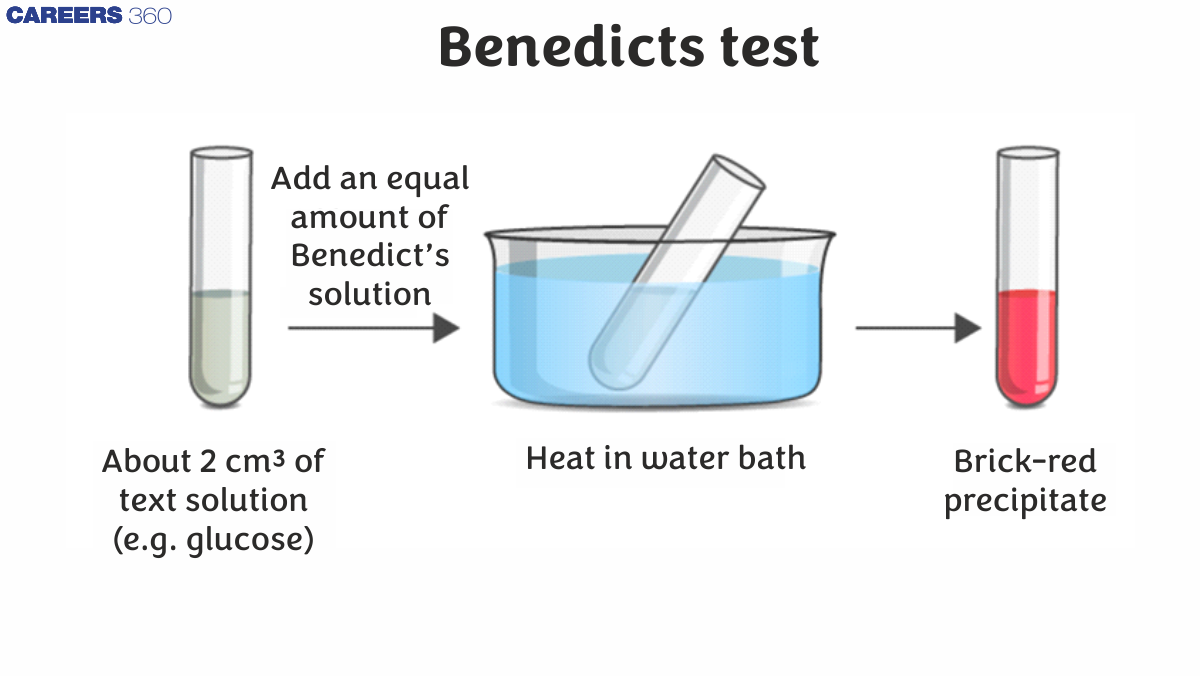 Benedicts Test - Overview, Preparation, Analysis, Limitations, FAQs