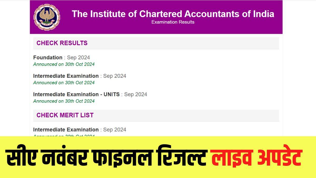 आईसीएआई सीए फाइनल रिजल्ट नवंबर 2024 से संबंधित डिटेल्स इस लेख में दी गई है। (इमेज-आधिकारिक वेबसाइट)