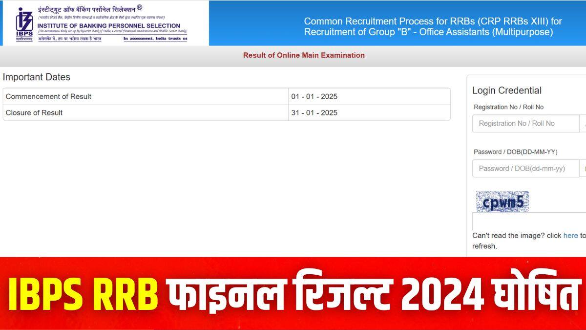 आईबीपीएस आरआरबी फाइनल रिजल्ट 2024 डाउनलोड करने की प्रक्रिया इस लेख में आगे दी गई है। (इमेज-आधिकारिक वेबसाइट)