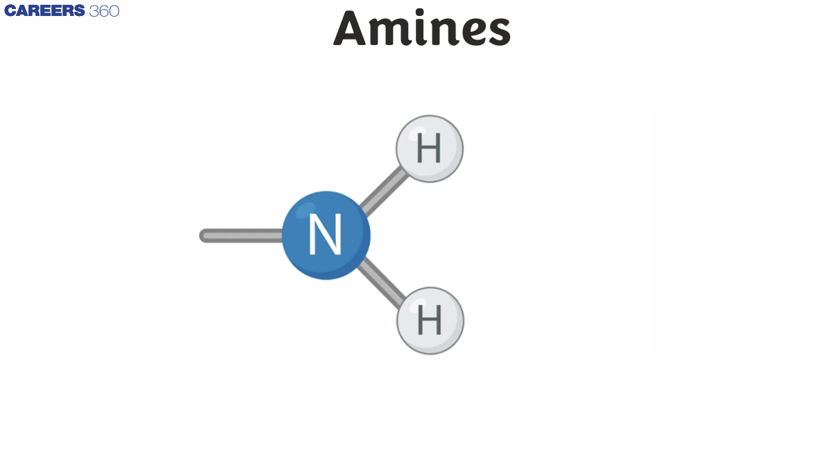 Amines - Overview, Examples, Types, Properties, FAQs