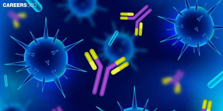 Antibody - Role of Antibodies, Structure, Types And Functions