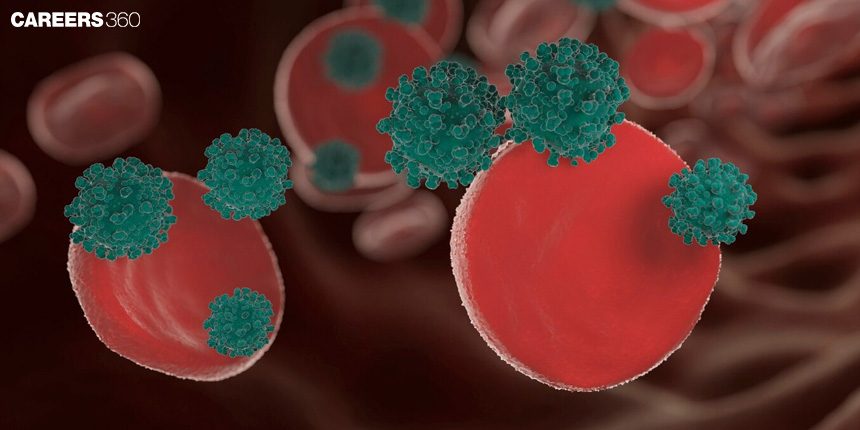 Difference Between Humoral And Cell Mediated Immunity