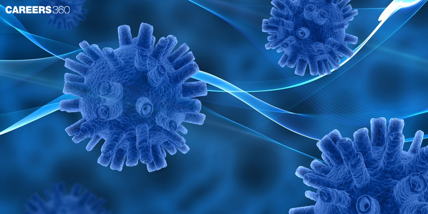 Difference Between Innate and Adaptive Immunity: Points, Table, Examples