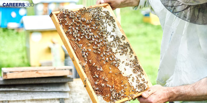 Apiculture: Beekeeping - Definition, Types, Products, Examples, Role