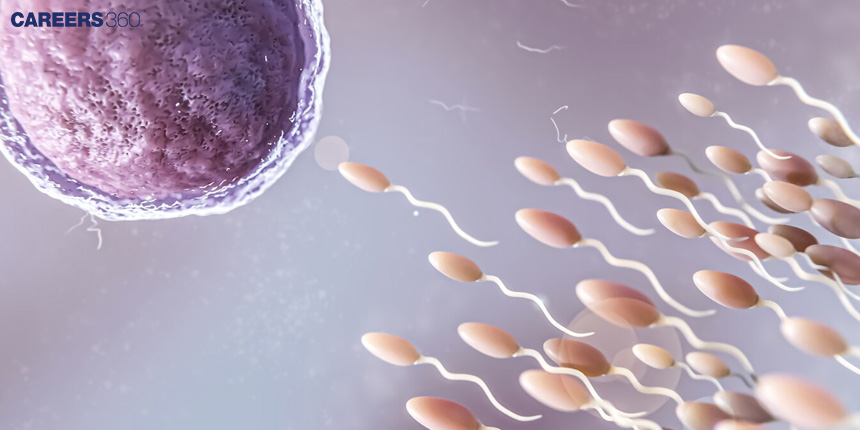 Artificial Insemination: Definition, Types, Step-by-Step Process