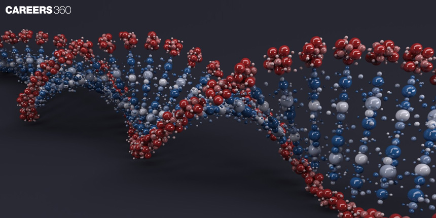 Difference between Restriction Endonuclease and Exonuclease