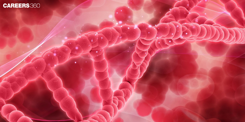 Restriction Enzyme: Definition, Types, Applications, Examples, Diagram