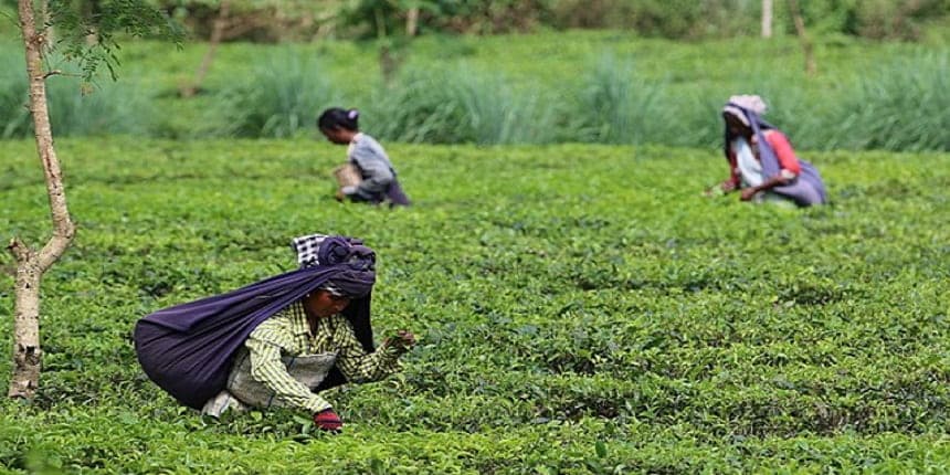 Himachal Pradesh has the highest female labour force participation rate of 71.4% in 2022-23, followed by Sikkim with 68.6%. (Image: Wikimedia Commons)