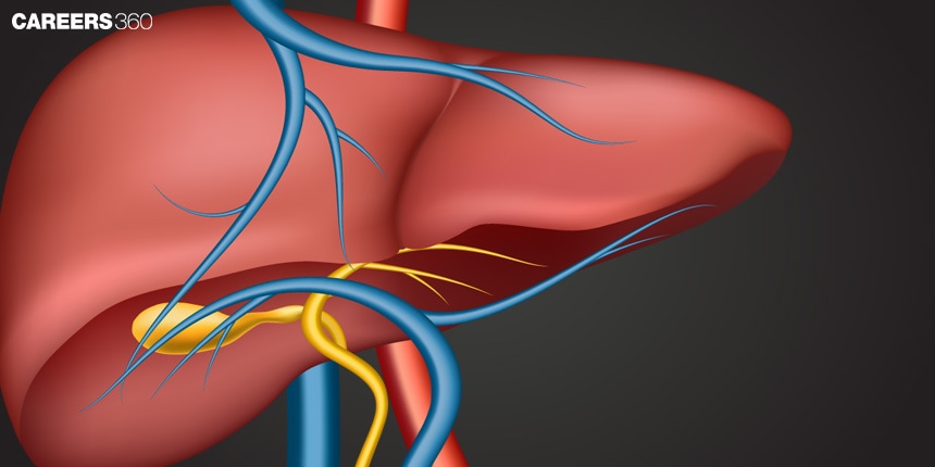 Bile Juice: Composition and functions of bile juice