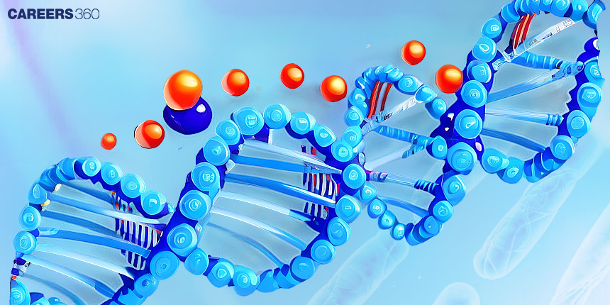 Central Dogma of Molecular Biology: Steps and Diagram