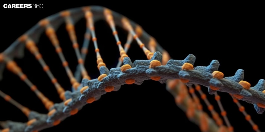 Chromosomal Mutations:  Definition and Examples, Causes, Mechanism, Types